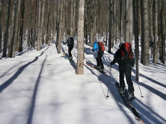 Narciarstwo skiturowe w Bieszczadach