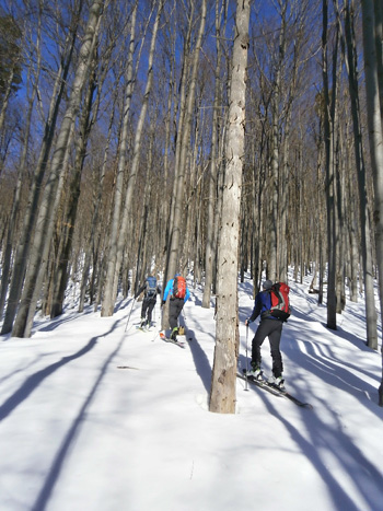Narciarstwo skiturowe w Bieszczadach