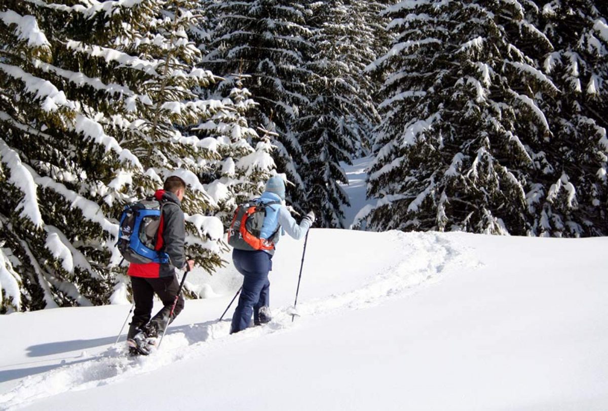Wyprawy skiturowe w Bieszczadach