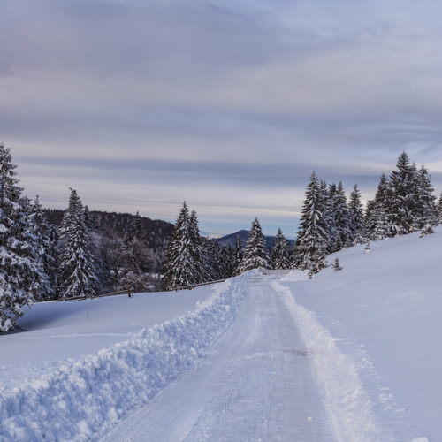 rustic road in winter. Bucegi Mountains, Romania